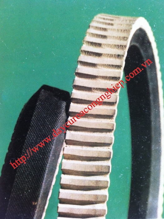 Dây curoa máy cắt 2 đầu Ngành Gỗ [3]